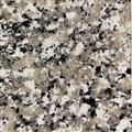 Granite Countertop Luna Pearl Sample